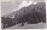 bnk cp Masivul Piatra Craiului - Vedere - circulata