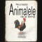 RECUNOAȘTE-ȚI ANIMALELE DE FERMĂ