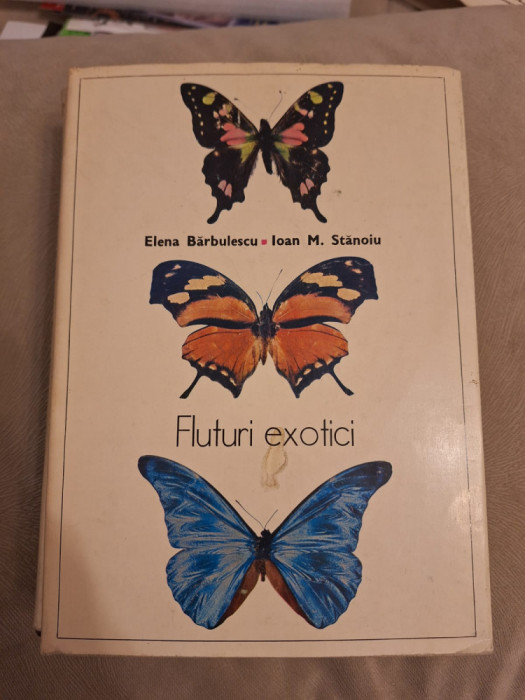 Fluturi exotici - Elena Barbulescu, Ioan M. Stanoiu