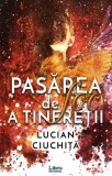 Pasărea de foc a tinereții - Paperback brosat - Lucian Ciuchiță - Libris Editorial