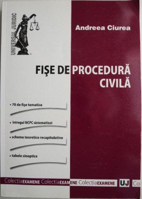 Fise de procedura civila &amp;ndash; Andreea Ciurea foto