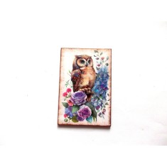 Magnet frigider cu bufnita 43462