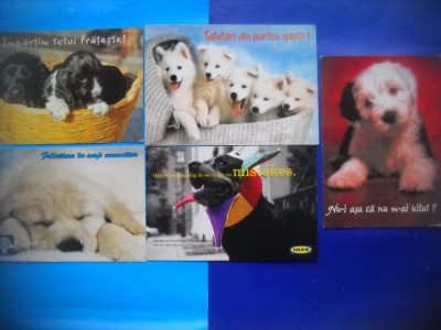 HOPCT LOT NR 1147 CAINI - 5 CARTI POSTALE-NECIRCULATE&amp;#039;&amp;#039; foto