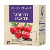 Ceai Paducel Fructe Dacia Plant, 50g