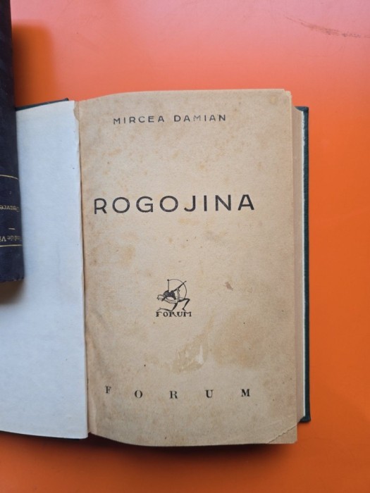 Rogojiina - Mircea Damian