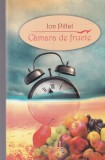 Ion Pillat - Camara de fructe