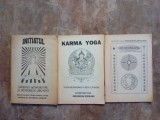 Lot 3 carti de Gregorian Bivolaru - INITIATUL + KARMA YOGA + CROMOTERAPIA