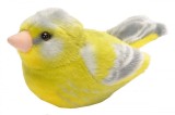 Pasare cu sunet Florinte - GREENFINCH, Wild Republic