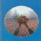 Magazin Istoric, Nr. 12 - Decembrie 1999