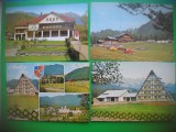 HOPCT LOT 3154 -CHEIA -JUD PRAHOVA- 4 CARTI POSTALE-CIRCULATE, Circulata, Printata