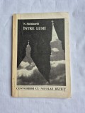 Nicolae Steinhardt - Intre lumi - 1994