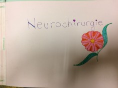 Neurochirugie - curs pt. studen?i foto
