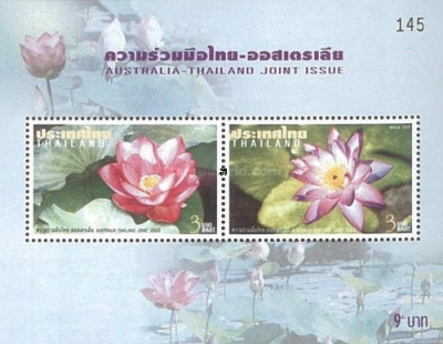 Thailanda 2002 - Flori, nufar, colita neuzata foto
