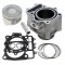Set motor ATV CF moto 500cc