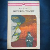 Budulea Taichii - Ioan Slavici, Roman, Beletristica