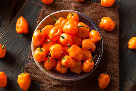Ardei mexico orange habanero / 20 seminte n pachet pentru semanat