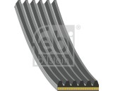 FEBI BILSTEIN 181287 Curea transmisie cu caneluri