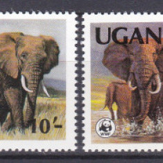 DB1 Fauna Africana Elefanti 1983 Uganda WWF 4 v. MNH