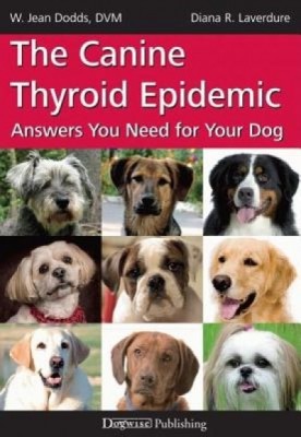 The Canine Thyroid Epidemic: Answers You Need for Your Dog foto