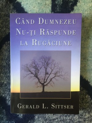 d10 Cand Dumnezeu nu-ti raspunde la rugaciune - Gerald L. Sittser foto