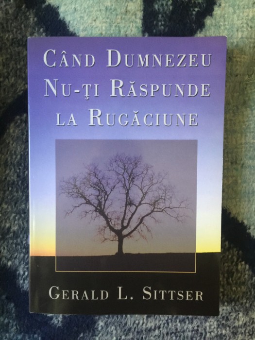 d10 Cand Dumnezeu nu-ti raspunde la rugaciune - Gerald L. Sittser