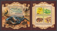Mozambic 2018 - Reptile - SERPI - BL + KB - Michel 42 Eur. - MNH