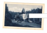 CP Pelisor, interbelica, necirculata, animata, stare buna, Printata, Prahova