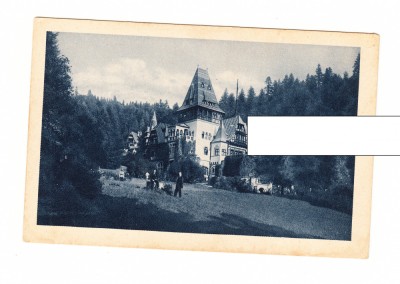 CP Pelisor, interbelica, necirculata, animata, stare buna foto