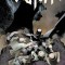 Batman by Scott Snyder &amp; Greg Capullo Omnibus Vol. 1