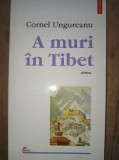 A muri in Tibet- Cornel Ungureanu, Polirom