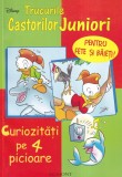 Carte Disney Trucurile Castorilor Juniori Walt Disney Curiozitati 4 Picioare Brosata Romana