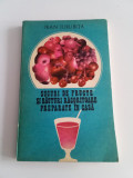 SUCURI DE FRUCTE ȘI BĂUTURI RĂCORITOARE PREPARATE &Icirc;N CASĂ - JEAN JURUBITA