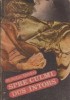 Spre culmi, dus-intors - Mykolas Sluckis, Editura Univers - Roman