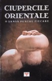 Ciupercile orientale. O sansa pentru fiecare