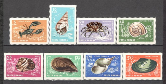 Romania.1966 Crustacee si moluste ZR.261
