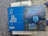 O zi fără anotimp vintage