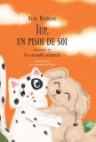 Jup, un pisoi de soi &ndash; volumul IV &ndash; Un musafir surpriza, Univers