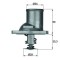 MAHLE TI 1 92 termostat,lichid racire