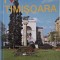 I love Timisoara &ndash; Dinu Barbu