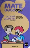 ALGEBRA GEOMETRIE PARTEA A II CLASA A VII-A-DAN BRANZEI, ANTON NEGRILA, MARIA NEGRILA-220568