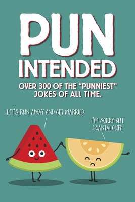 Pun Intended Paperback Gift Book foto