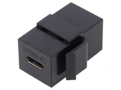 Adaptor Keystone USB 3.1 Mamă la Dual USB C foto