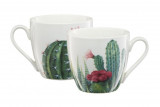 Cana Cactus Aloes, Ambition, 510 ml, portelan, multicolor