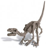 Set de joaca - Sapa si descopera dinozauri - Velociraptor | 4M