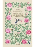 Floarea intunecata/John Galsworthy