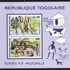 DB1 Fauna Africana Togo Scene Pastorale MS MNH