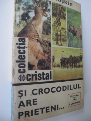 Si crocodilul are prieteni - Igor Akimuskin foto