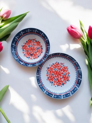 Set din ceramică boluri și farfurii foto
