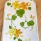 Tablou / Bucatarie / Suport oala / Carpator - Villeroy and Boch - Geranium