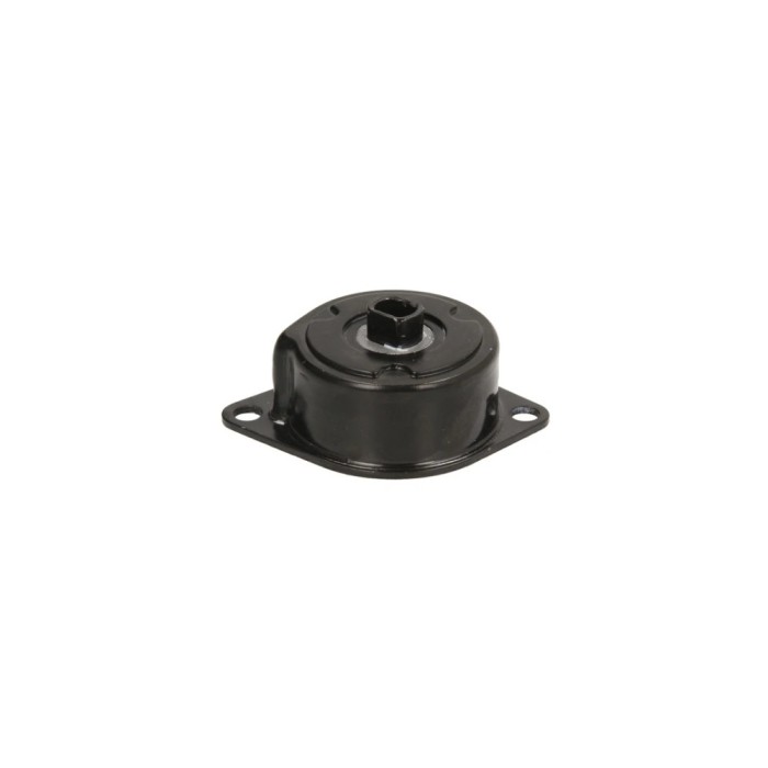 Intinzator curea VW CADDY II pick-up 9U7 DAYCO APV2681